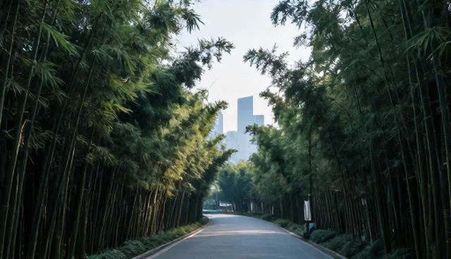 贵阳粤惠鑫贸易有限公司